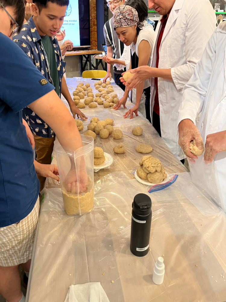 A photo of people forming balls out of soft, tan soybean mash. Several balls are flattened and set on plates. One person in the foreground pushes their fist down on a mass of the substance in a glass container.