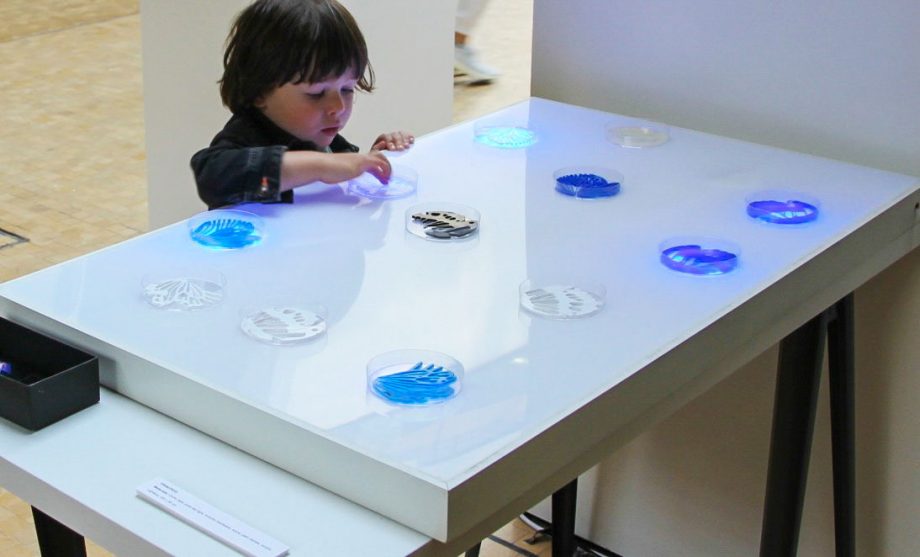 A child looking at an exhibition table