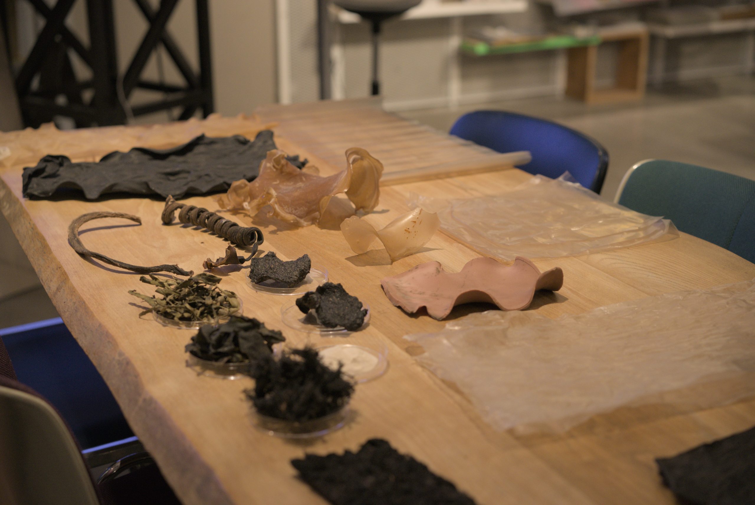 A table with an assortment of bioplastics and seaweeds carefully laid out for display.