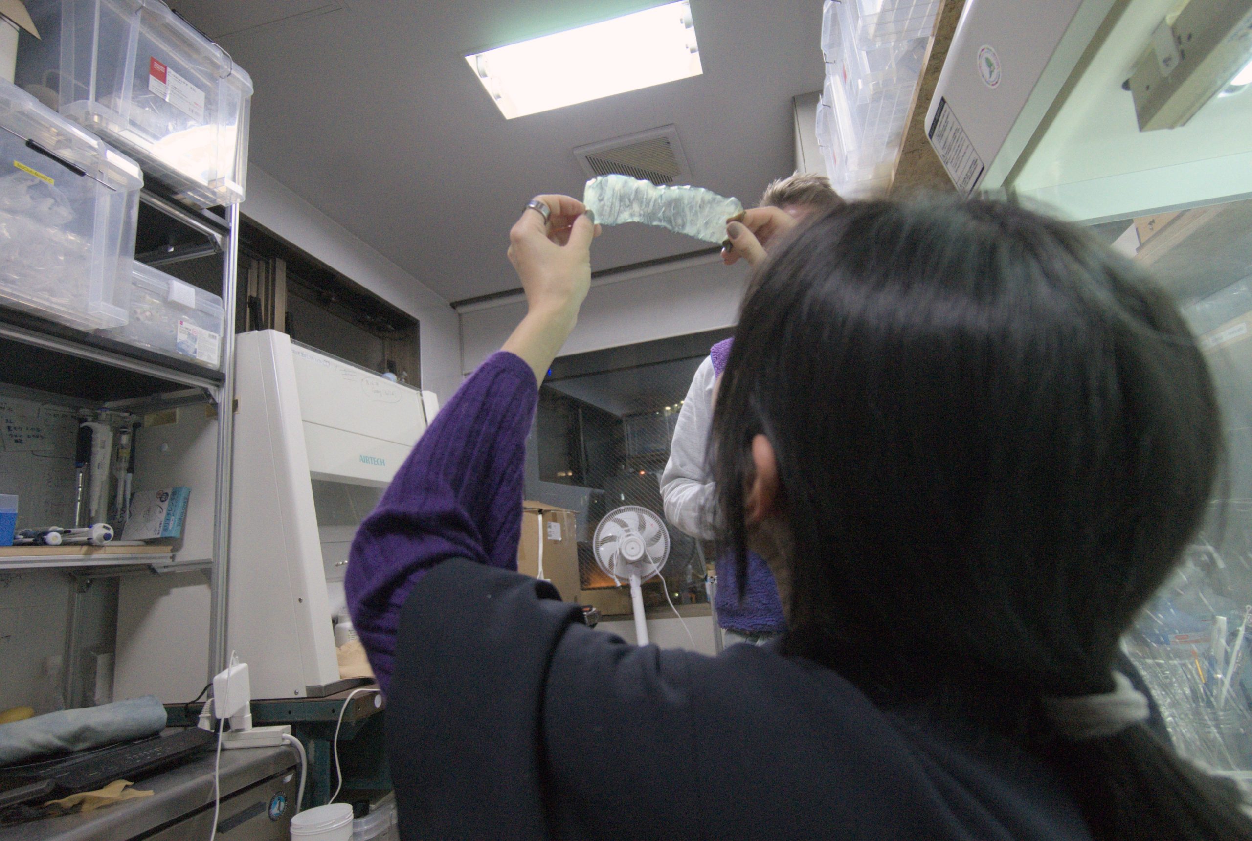 Lab member is examining a piece of bioplastic by holding it up to the ceiling's light.