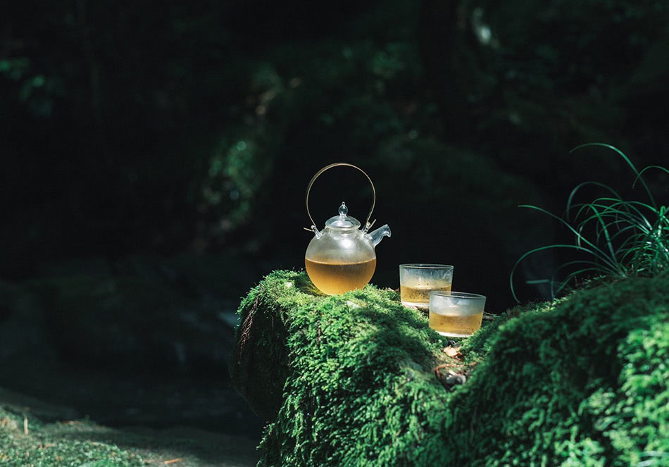 森ノ茶室』~クロモジを頂く茶室【8/19（土）・20（日）】 - FabCafe Hida