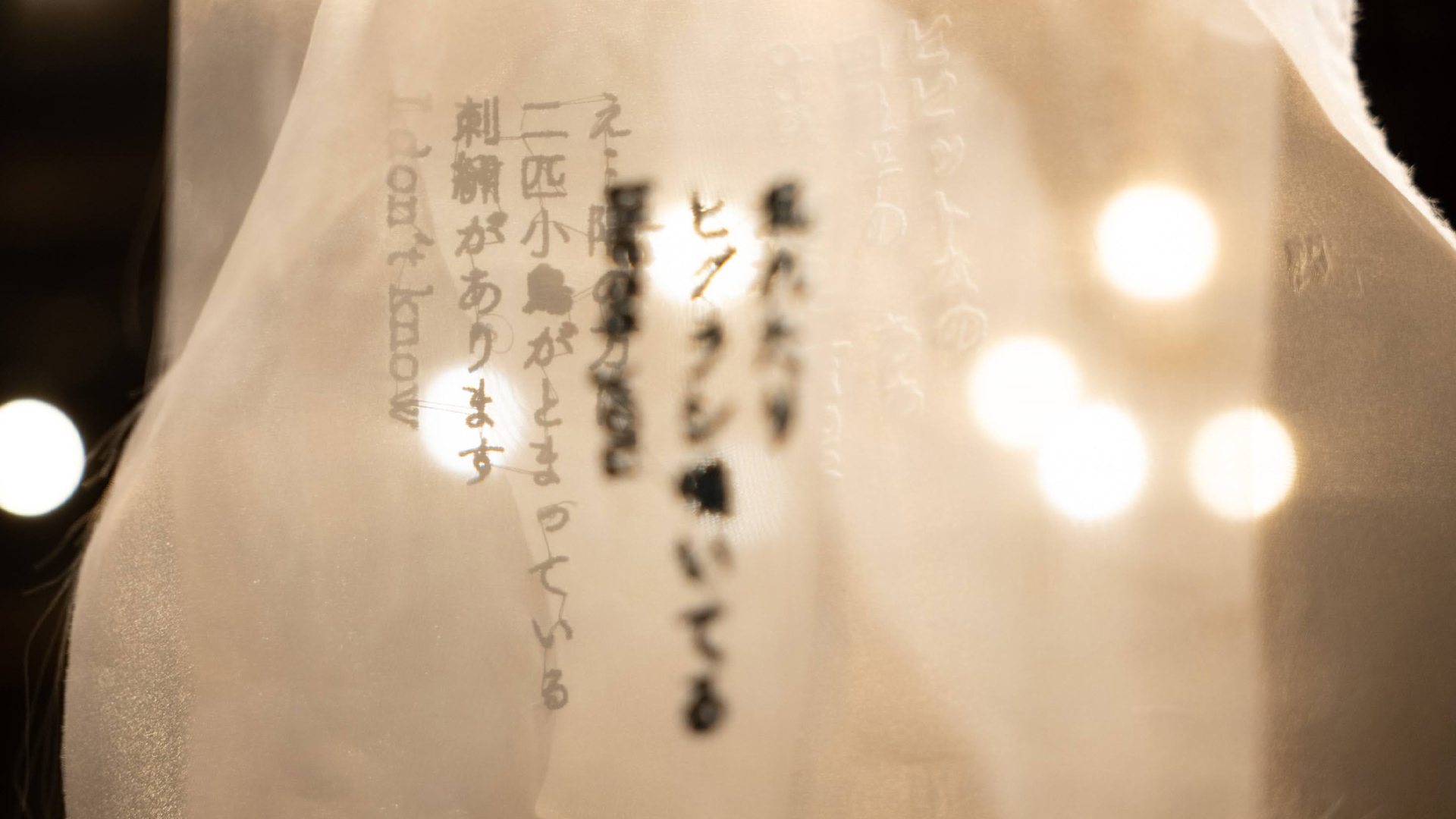 小林颯太さんによる展示企画「ホワイトノットノイズ」のバナー写真