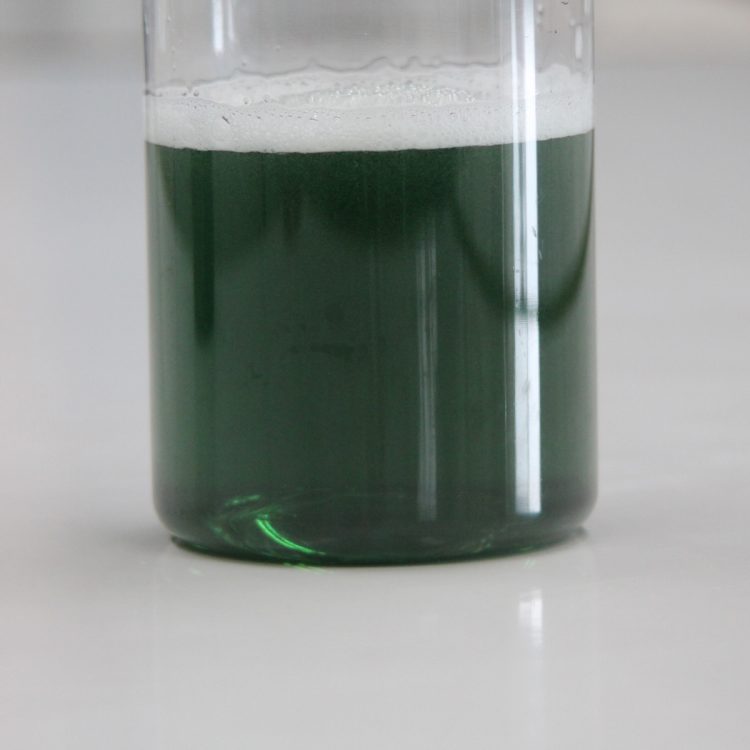 北川さん参考画像2　信号反応緑