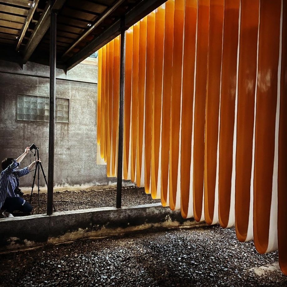 服部さん参考画像1