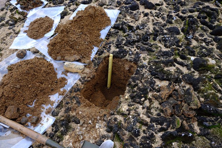 林さん参考画像01