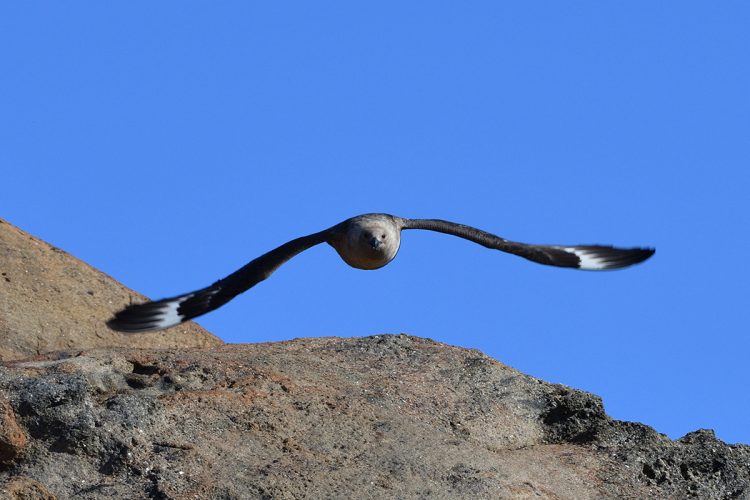 林さん参考画像02