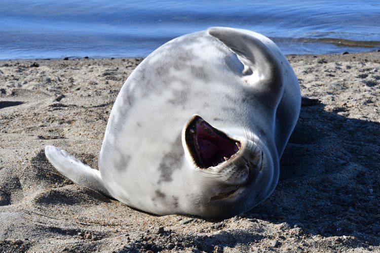 林さん参考画像03