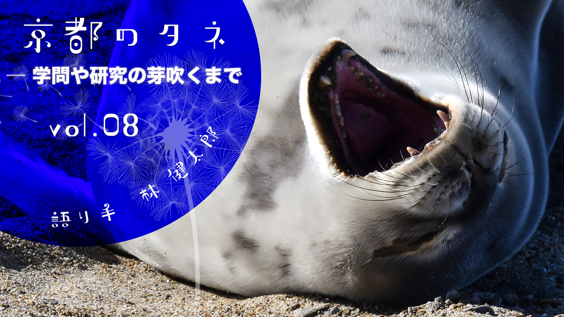 京都のタネvol.08_メイン画像