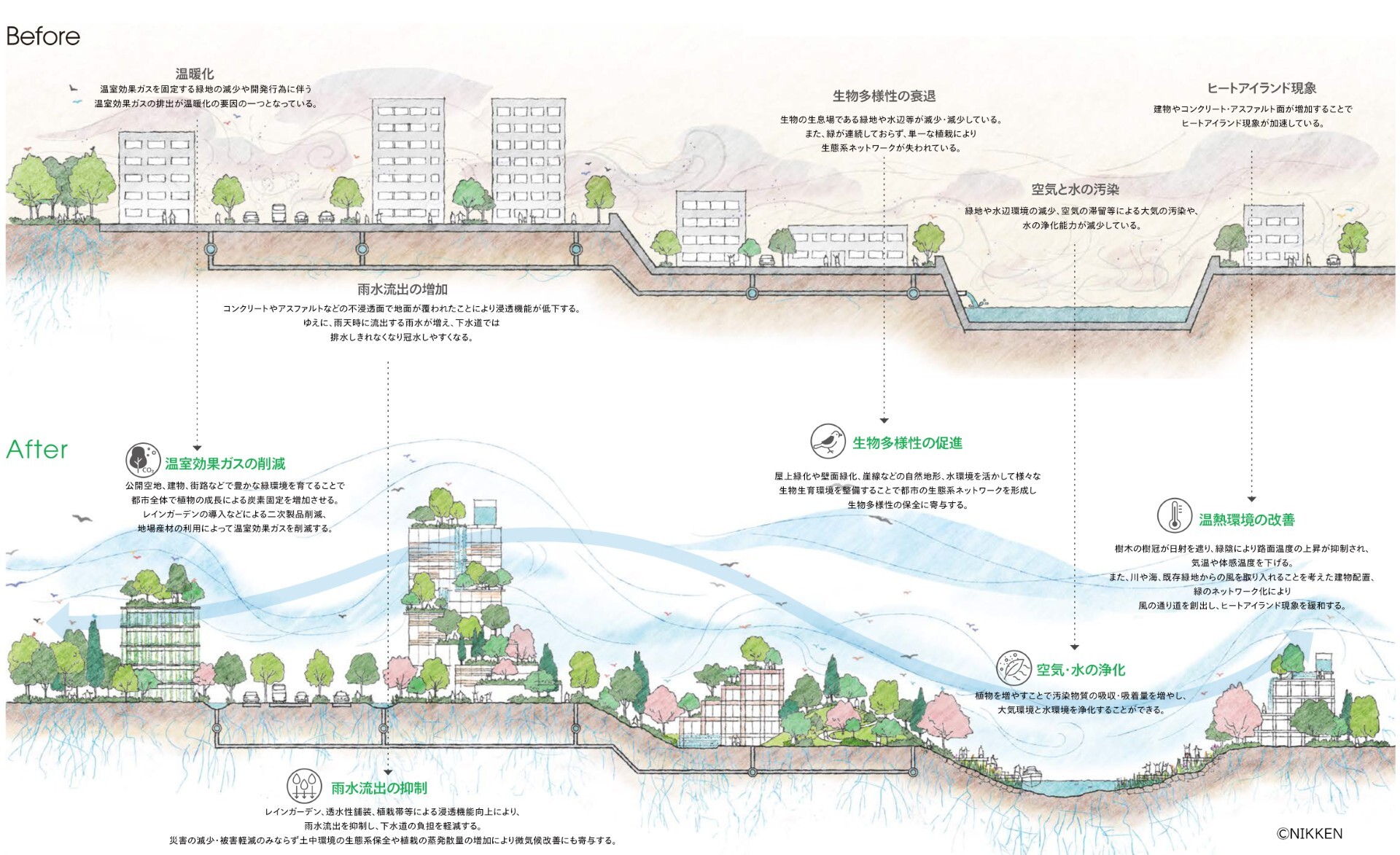 画像:Nikken Green Initiative