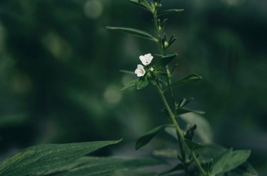 髙松 秀徒さん参考画像03